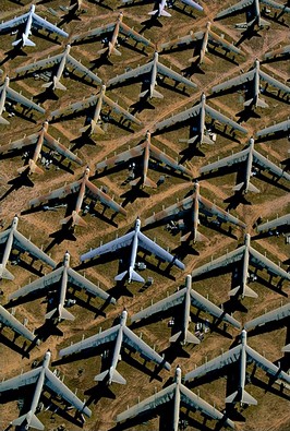 Yann Arthus Bertrand