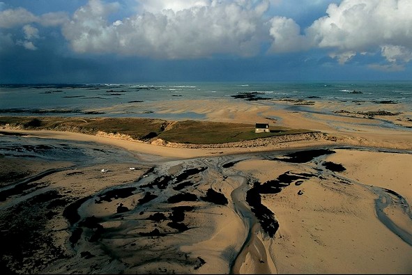 Yann Arthus Bertrand